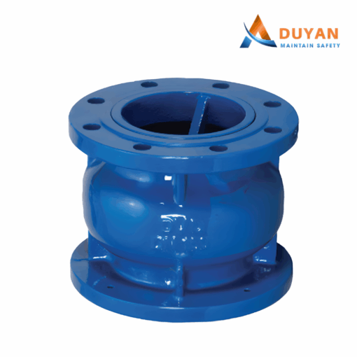 Van 1 chiều lò xo DN50 ARV ASC600 02